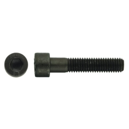 VIS T.CYL. HEXAG.CREUSE BRUTE F.T.CL10.9 10X 45 - CDT100