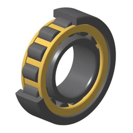 ROULEMENT A ROULEAUX CYLINDRIQUES CAGE MASSIVE NJ313-E-M1