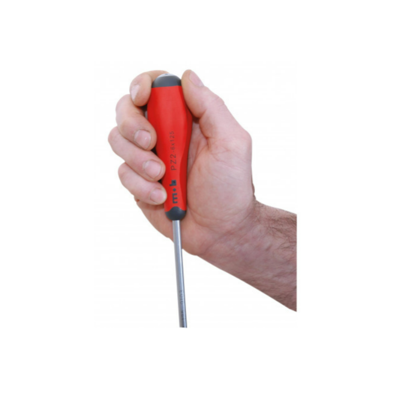 JEU 10 TOURNEVIS ROUGE (2F+4T+2PH+2PZ) REDGRIP