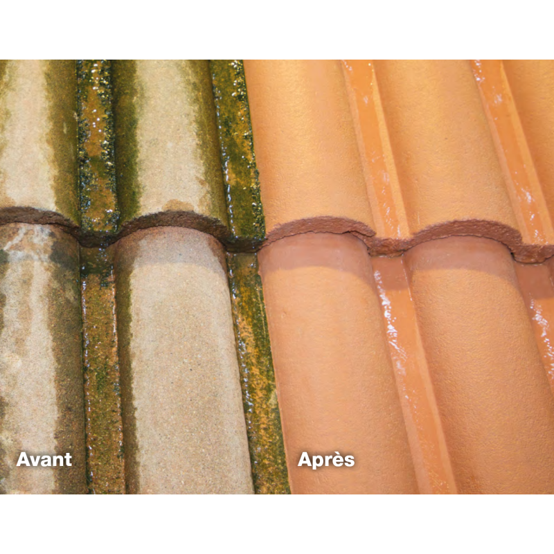 Avant/après dalep 2100