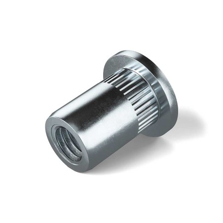 INSERT RIVKLE PLUS TETE PLATE ACIER ZINGUE MOLETE Ø