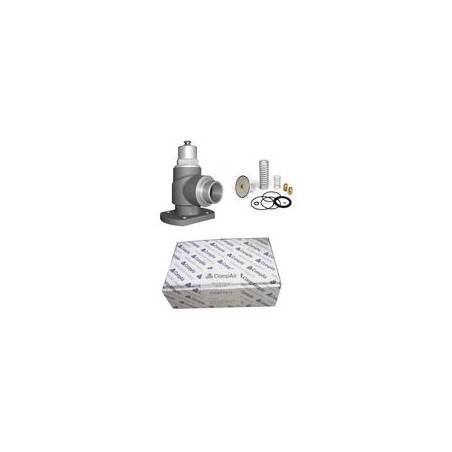 KIT CLAPET D'ASPIRATION - REF CK8230-4