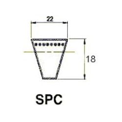 COURROIE TRAPEZOIDALE TYPE SPC, REF SPC5000