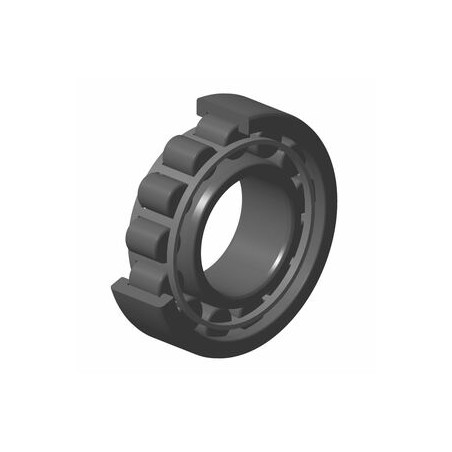 ROULEMENT A ROULEAUX CYLINDRIQUES NU320C3