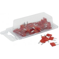 50 MINI-FUSIBLES ENFICHABLES-10A-/boite