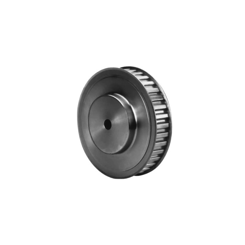 POULIE L Z13 lg100 2F AC