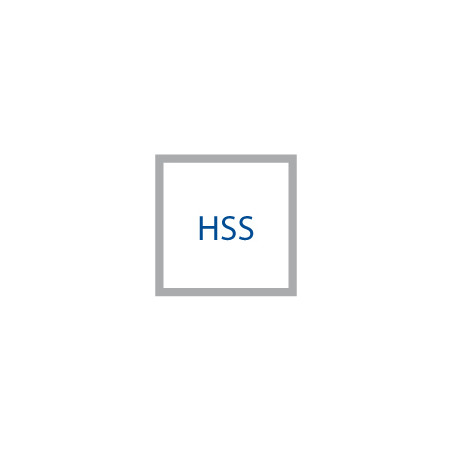 FORET HSS 5.20 REF 10151